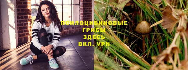 прущие крисы Лабытнанги