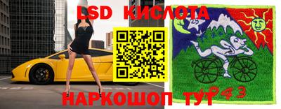 спиды Волгодонск