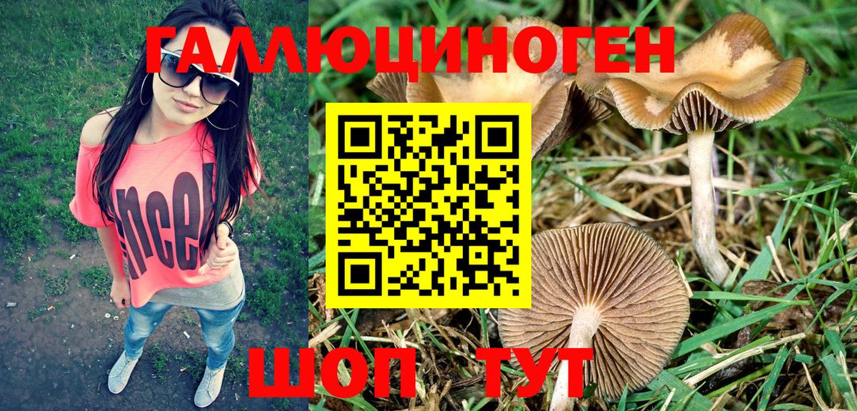 где продают   Псилоцибиновые грибы Psilocybe  Старый Оскол  Вход с VPN  Галлюциногенные грибы Psilocybine cubensis 
